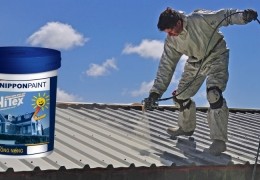 Dịch vụ sơn chống nóng mái tôn tại Biên Hòa- 0868.448.733- sơn mái tôn