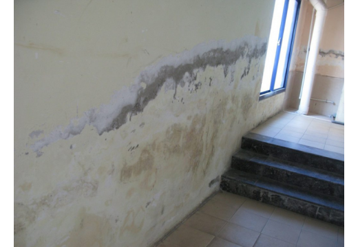 Thợ chống thấm tại Thủ Dầu Một.