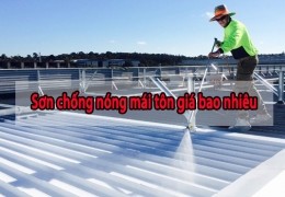Dịch vụ sơn chống nóng mái tôn tại Trảng Bom- 0868.448.733- sơn mái tôn