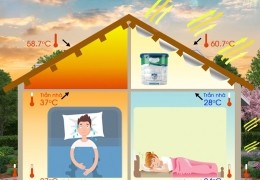 Thợ sơn chống nóng mái tôn tại Bắc Tân Uyên- 0868.448.733