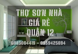 DỊCH VỤ THỢ  SƠN NHÀ GIÁ RẺ TẠI QUẬN 12